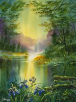 15- Les iris versicolore